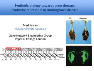 Mark Isalan
m.isalan@imperial.ac.uk
Gene Network Engineering Group
Imperial College London
Synthetic biology towards gene therapy:
synthetic repressors in Huntington's disease
 