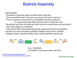 Synbio MSc day3- DNA Assembly 2025 power | PPT