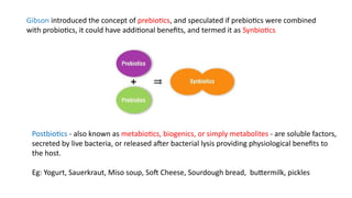 Synbiotics: The Synergistic Power of Probiotics and Prebiotics in Human ...