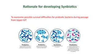 Synbiotics: The Synergistic Power of Probiotics and Prebiotics in Human ...