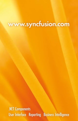 Syncfusion Brochure 2010 Web