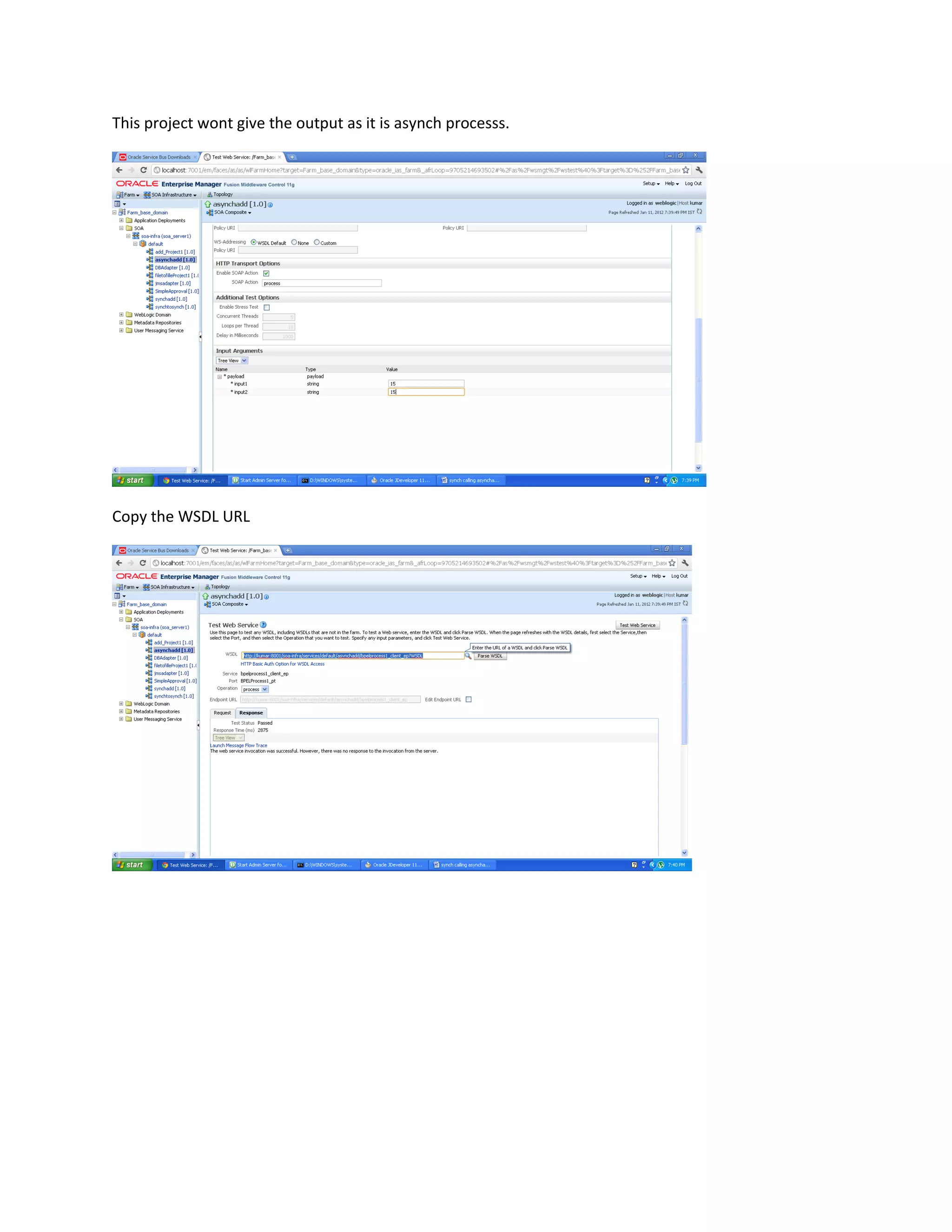 This project wont give the output as it is asynch processs.
Copy the WSDL URL