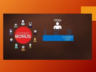 Synchronal presentation Compensation Plan Shown