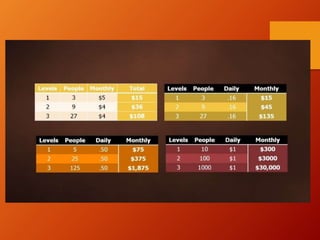 Synchronal presentation Compensation Plan Shown