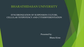 BHARATHIDASAN UNIVERSITY
SYNCHRONIZATION OF SUSPENSION CULTURE,
CELLULAR TOTIPOTENCY AND CYTODIFFERENTIATION
Presented by:
Bhanu Kiran
 