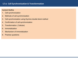 12. Cell synchronization and Immortalization | PPT
