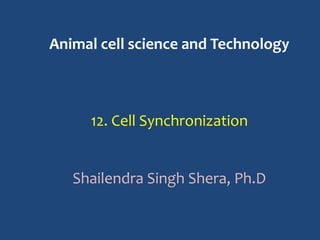 Animal cell science and Technology
12. Cell Synchronization
Shailendra Singh Shera, Ph.D
 