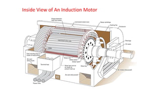 Inside View of An Induction Motor
 
