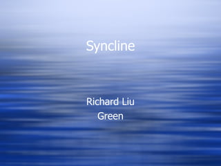Syncline Richard Liu Green 