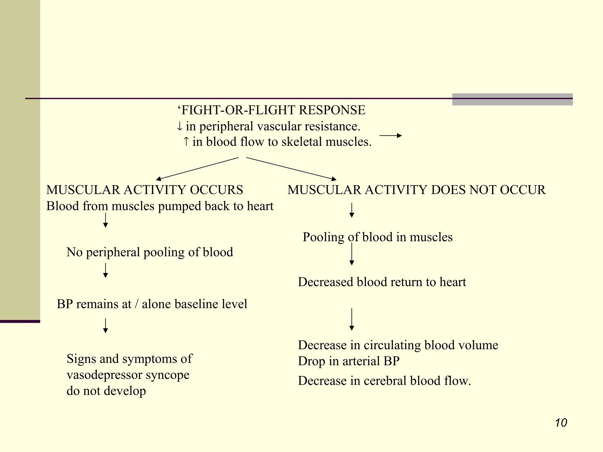 10
‘FIGHT-OR-FLIGHT RESPONSE
 in peripheral vascular resistance.
 in blood flow to skeletal muscles.
MUSCULAR ACTIVITY OCCURS MUSCULAR ACTIVITY DOES NOT OCCUR
Blood from muscles pumped back to heart
No peripheral pooling of blood
BP remains at / alone baseline level
Signs and symptoms of
vasodepressor syncope
do not develop
Pooling of blood in muscles
Decrease in circulating blood volume
Drop in arterial BP
Decrease in cerebral blood flow.
Decreased blood return to heart
 