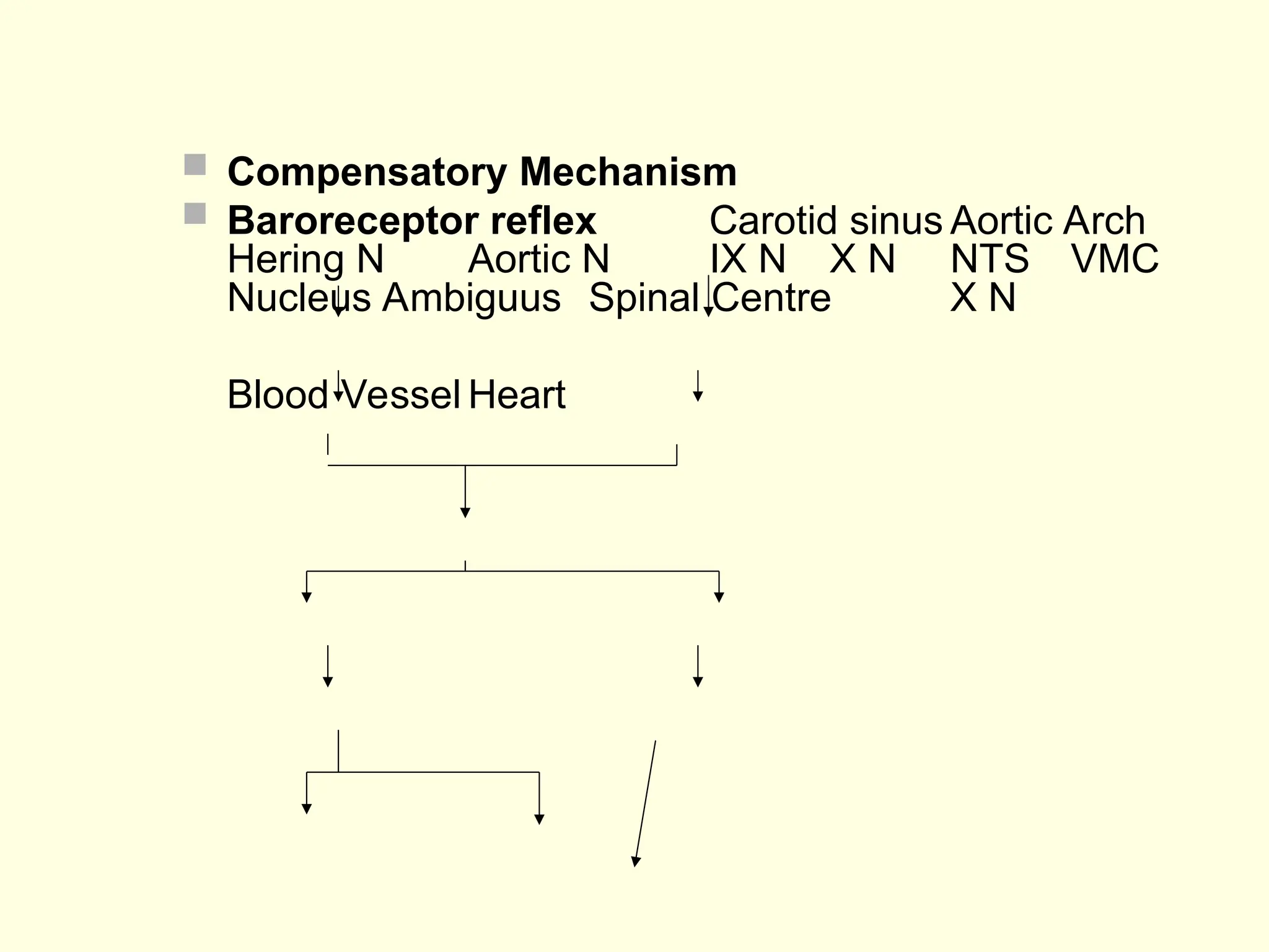  Compensatory Mechanism
 Baroreceptor reflex Carotid sinus Aortic Arch
Hering N Aortic N IX N X N NTS VMC
Nucleus Ambiguus Spinal Centre X N
Blood Vessel Heart
 