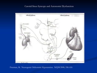 Carotid Sinus Syncope and Autonomic Dysfunction Freeman, M.  Neurogenic Orthostatic Hypotension.  NEJM 2008; 358: 616 