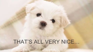 THAT’S ALL VERY NICE…
 