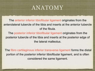 ANATOMY 
The anterior inferior tibiofibular ligament originates from the 
anterolateral tubercle of the tibia and inserts at the anterior tubercle 
of the fibula. 
The posterior inferior tibiofibular ligament originates from the 
posterior tubercle of the tibia and inserts at the posterior edge of 
the lateral malleolus. 
The fibro cartilaginous inferior transverse ligament forms the distal 
portion of the posterior inferior tibiofibular ligament, and is often 
considered the same ligament. 
 