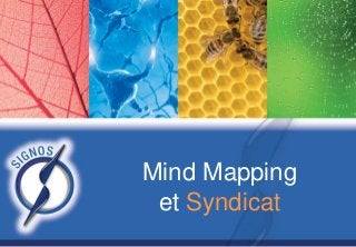 Mind Mapping
et Syndicat
 
