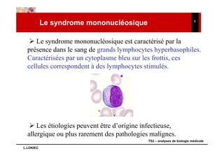 Le syndrome mononucléosique                                   1




     Le syndrome mononucléosique est caractérisé par la
  présence dans le sang de grands lymphocytes hyperbasophiles.
  Caractérisées par un cytoplasme bleu sur les frottis, ces
  cellules correspondent à des lymphocytes stimulés.




      Les étiologies peuvent être d’origine infectieuse,
  allergique ou plus rarement des pathologies malignes.
                                             TS2 – analyses de biologie médicale

L.LOKIEC
 