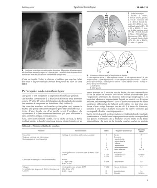 Radiodiagnostic Syndrome bronchique 32-360-C-10 
d’iode est inutile. Enfin, le clinicien n’oubliera pas que les clichés 
des sinus et la panoramique dentaire font partie du bilan de toute 
BPCO. 
Prérequis radioanatomique 
Les figures 5 et 6 rappellent la disposition bronchique générale. 
Les bronches commencent à la bifurcation trachéale et se terminent 
entre le 17e et le 20e ordre de bifurcation des bronchioles terminales 
(les dernières à comporter un épithélium cilié) (tableau I). 
Les bronches souches, ou bronches principales, ont, comme la 
trachée, une paroi suffisamment épaisse pour être décelable sous la 
forme d’une bande ou d’un cercle selon l’incidence du 
rayonnement X et l’environnement extérieur qui, pour silhouetter la 
paroi, doit être aérique, voire graisseux. 
Ainsi, sont normalement visibles, sur le cliché de face, la bande 
trachéale droite, la bande bronchique interne droite formée par les 
1 
4 
3 
5 
2 
3 3 
1 
1 
6 6 
2 
2 
4 
4 
8 7 5 5 
8 
parois internes de la bronche souche droite, du tronc intermédiaire 
et de la bronche lobaire inférieure droite, silhouettées par 
l’expansion antérieure du récessus interazygo-oesophagien. Les 
bronches lobaires ou segmentaires, fuyant ou venant vers le rayon 
incident, strictement parallèle à celui-là (bronches ventrales des lobes 
supérieurs et bronches de Nelson), sont visibles près des hiles sous 
forme d’une image finement cerclée de 3 à 6mm de diamètre, 
jumelée à une image d’allure nodulaire de calibre similaire qui 
correspond à l’artère « accompagnante ». 
Sur le cliché de profil, sont normalement visibles la bande trachéale 
postérieure et la bande bronchique postérieure droite correspondant 
aux parois postérieures de la bronche souche droite et du tronc 
intermédiaire ; la paroi de la bronche souche gauche est parfois 
4 Syndrome bronchique en radiographie thoracique. Majoration d’épaisseur parié-tale 
bronchique marquée et aspect en « rayon de miel » localisé à droite évoquant des di-latations 
des bronches (flèche) avec vraisemblable surinfection. 
Tableau I. – Division et taille des bronches. 
Fonction Environnement Ordre Segment anatomique Diamètre 
(mm) 
Conduction Cartilage et interstitium péribronchovasculaire 0 Trachée 25 
Muqueuse continue non interrompue Bronche(s) 
Reconnaissance en bronchographie 1 - souche droite 15 
- souche gauche 13 
2 - lobaires 7 
3 - segmentaires 5 
4 - sous-segmentaires 4 
5 à 10 Petites bronches 0,8 à 4 
Lobule pulmonaire secondaire (LPS) de Miller = 10 à 
25 mm 
Bronchioles 
11 à 13 - membraneuses 0,5 à 0,8 
14 à 15 - terminales 0.5 
Conduction et échanges (= zone transitionnelle) Acinus 
(2 à 4 par LPS) 16 à 18 - respiratoires 0,5 
de 6 à 10 mm 
Échanges Lobule pulmonaire primaire (LPP) 19 à 22 Canaux alvéolaires 0,4 
(+ ventilation par les pores de Kohn et les canaux de 
Lambert) 
(30 à 50 par LPS) 
de 0,5 à 1 mm 23 Sacs alvéolaires 0,4 
24 Alvéoles 0,2 à 0,3 
7 
8 
10 9 6 
5 Arbre bronchique. 
1. Trachée ; 2. carène ; 
3. bronche souche gauche ; 
4. bronche culminale (B1 
+ B3 + B2) ; 5. bronche lin-gulaire 
(B4 + B5G) ; 6. pyra-mide 
basale gauche (B7 + B8 
et B9, et B10G) ; 7. bron-che 
du lobe supérieur droit 
(B1 + B2 + B3) ; 8. bronche 
de Nelson ; 9. bronche lingu-laire 
moyenne (B4 + B5D) ; 
10. pyramide basale droite 
(B7 + B8 + B9 et B10D) ; 
D : droite ; G : gauche. 
A B 
9 
9 
10 
10 
6 Scissures et lobes de profil. Classification de Boyden. 
1. Lobe supérieur apical ; 2. lobe supérieur ventral ; 3. lobe supérieur dorsal ; 4. lobe 
moyen externe ; 5. lobe moyen interne ; 6. lobe inférieur supérieur (Fowier) ; 7. lobe in-férieur 
paracardiaque ; 8. lobe inférieur ventral ; 9. lobe inférieur externe ; 10. lobe in-férieur 
dorsal (terminobasal). 
A. Côté droit. 
B. Côté gauche. 
3 
 