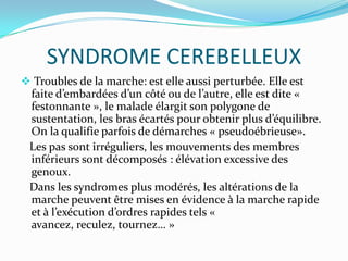 SYNDROME CEREBELLEUX
 Troubles de la marche: est elle aussi perturbée. Elle est
 faite d’embardées d’un côté ou de l’autre, elle est dite «
 festonnante », le malade élargit son polygone de
 sustentation, les bras écartés pour obtenir plus d’équilibre.
 On la qualifie parfois de démarches « pseudoébrieuse».
 Les pas sont irréguliers, les mouvements des membres
 inférieurs sont décomposés : élévation excessive des
 genoux.
 Dans les syndromes plus modérés, les altérations de la
 marche peuvent être mises en évidence à la marche rapide
 et { l’exécution d’ordres rapides tels «
 avancez, reculez, tournez… »
 