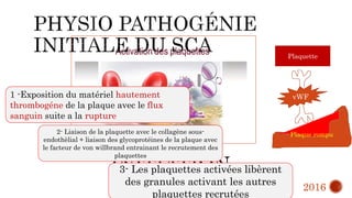 1 -Exposition du matériel hautement
thrombogéne de la plaque avec le flux
sanguin suite a la rupture
2- Liaison de la plaquette avec le collagène sous-
endothèlial + liaison des glycoprotéines de la plaque avec
le facteur de von willbrand entrainant le recrutement des
plaquettes
3- Les plaquettes activées libèrent
des granules activant les autres
plaquettes recrutées
vWF
Plaquette
Plaque rompu
2016
 