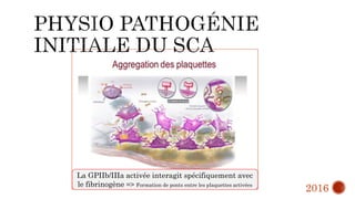 La GPIIb/IIIa activée interagit spécifiquement avec
le fibrinogène => Formation de ponts entre les plaquettes activées
2016
 