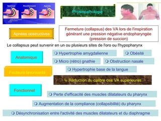 Physiopathologie  Apnées obstructives Fermeture (collapsus) des VA lors de l'inspiration générant une pression négative endopharyngée (pression de succion) Le collapsus peut survenir en un ou plusieurs sites de l'oro ou l'hypopharynx Facteurs favorisants Anatomique     Hypertrophie amygdalienne    Micro (rétro) gnathie    Obésité     Obstruction nasale    Réduction du calibre des VA supérieures Fonctionnel     Perte d'efficacité des muscles dilatateurs du pharynx    Augmentation de la compliance (collapsibilité) du pharynx    Désynchronisation entre l'activité des muscles dilatateurs et du diaphragme    Hypertrophie base de la langue 