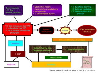 Décubitus     CRF OB ÉSITÉ SOMMEIL Défaut d'activité des Dilatateurs du pharynx Médicaments     Commande centrale Apnées  obstructives Réveil  Des résistances des VAS Hyperventilation post apnéique P a O 2    P a CO 2 Sexe masculin    Âge Flexion cervicale Obstruction nasale Hypertrophie amygdalienne Micrognathie     circonférence du cou    du reflexe des VAS    du tonus ventilatoire    des récepteurs à la pression D'après Deegan PC et al. Eur Respir J; 1995;  8 ; 7: 1161-1178    des résistances des VAS    collapsibilité des VAS    de la surface transversale pharyngée 