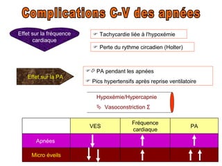 Complications C-V des apnées Effet sur la fréquence cardiaque    Tachycardie liée à l'hypoxémie Effet sur la PA    Perte du rythme circadien (Holter)    PA pendant les apnées Pics hypertensifs après reprise ventilatoire Hypoxémie/Hypercapnie    Vasoconstriction  Ʃ VES Fréquence cardiaque PA Apnées  Micro éveils 