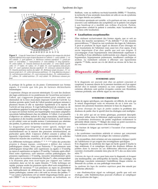 19-1590                                                                           Syndrome des loges                                                          Angéiologie

                                                                                                            thallium, voire au méthoxy-iso-butyl-isonitrile (MIBI). [67] Toutefois,
                              1 2 3 4 5 6 7                                8 9
                                                                                                            la recherche d’une anomalie musculaire est utile en cas de syndrome
                                                                                                            des loges étendu aux jambes.
                                                                                             10
                                                                                                            L’évolution spontanée est variable : si la guérison est rare, on assiste
                                                                                             11
                                                                                                            souvent à une stabilisation des symptômes car le patient s’est adapté
                                                                                                            à son handicap et a modiﬁé son rythme d’activité. Parfois,
                                                                                                            l’aggravation conduit le patient à consulter, mais l’acutisation est
                                                                                                            rare dans cette localisation.
                   30                                                                         12
                                                                                                            ¶ Localisations exceptionnelles
                   29                                                                         13

                   28                                                                         14            Elles réalisent exclusivement des formes aiguës, que ce soit au
                                                                                                            niveau des muscles sus-épineux, [68] du deltoïde [33] et des muscles
                   27                                                                         15
                                                                                                            paravertébraux. [69] Quant au rare syndrome des loges de l’abdomen,
                                                                                                            il peut se produire de façon aiguë au décours d’une chirurgie ou
                                                                                                            d’un traumatisme de l’abdomen mais aussi lors d’un sepsis, d’une
                                                                                                            ascite importante d’un choc quelle que soit son origine. Il
                                             26 25 24 23 22 21 20 19 18 17 16                               s’accompagne d’une hyperpression intra-abdominale supérieure à
           Figure 5        Coupe de l’avant-bras à l’union tiers supérieur-tiers moyen du côté droit.       25 mmHg et d’une défaillance multiviscérale avec oligurie, hypoxie,
           Segment inférieur de la coupe (d’après Boucheret et Cuilleret). 1 : veine cubitale ; 2 : ar-     hypotension, hyperpression pulmonaire, insuffisance cardiaque et
           tère cubitale ; 3 : petit palmaire ; 4 : ﬂéchisseur commun superﬁciel ; 5 : grand pal-           acidose. Le traitement consiste à effectuer une laparotomie
           maire ; 6 : nerf médian ; 7 : rond pronateur ; 8 : veine médiane ; 9 : long supinateur ;         urgente. [70] Enﬁn, aucun cas n’a été décrit au niveau de la face ou
           10 : artère radiale ; 11 : branche antérieure du nerf radial ; 12 : veine radiale superﬁ-        du cou.
           cielle ; 13 : 1er radial ; 14 : radius ; 15 : 2e radial ; 16 : court supinateur, faisceau pro-
           fond ; 17 : court supinateur, faisceau superﬁciel ; 18 : extenseur commun des doigts ;
           19 : branche postérieure motrice du radial : 20 : ﬂéchisseur propre du pouce ; 21 : ex-
           tenseur propre du 5 ; 22 : artère interosseuse antérieure : 23 : long abducteur du pouce ;       Diagnostic différentiel
           24 : nerf interosseux antérieur ; 25 : court extenseur du pouce ; 26 : cubital postérieur ;
           27 : cubitus ; 28 : cubital antérieur ; 29 : nerf cubital ; 30 : ﬂéchisseur commun pro-
           fond.                                                                                                                     SYNDROME AIGU
                                                                                                            Si le diagnostic est souvent aisé chez un patient conscient et
           la pratique de la guitare ou du piano. Contrairement aux formes                                  coopérant, la mesure directe de la pression tissulaire est d’un apport
           aiguës, il n’existe que très peu de facteurs déclenchants                                        décisif chez le malade comateux ou non coopérant. Toutefois,
           traumatiques.                                                                                    certaines affections sont parfois évoquées comme une thrombose
                                                                                                            veineuse profonde, une arthrite aiguë ou une myosite.
           L’expression clinique est souvent stéréotypée. Ce sont des douleurs
           des loges antérieures et/ou postérieures de l’avant-bras survenant à
           l’effort, qui s’aggravent progressivement pour entraîner une                                                         SYNDROME CHRONIQUE
           diminution de la force musculaire imposant l’arrêt de l’activité. La
                                                                                                            Faute de signes spéciﬁques, son diagnostic est difficile, de sorte que
           douleur persiste après l’arrêt de l’effort pendant quelques minutes à
                                                                                                            le retard diagnostique varie en moyenne de un à trois ans. La
           plusieurs heures et elle se reproduit rapidement si la reprise de
                                                                                                            mesure des pressions tissulaires demeure la base du diagnostic.
           l’activité est trop précoce. Il s’agit habituellement de crampes ou de
           paresthésies gagnant le poignet et les doigts. [61, 64] L’examen clinique                        La forme chronique des loges de jambes soulève le problème des
           au repos est normal, hormis une hypertrophie musculaire adaptative                               douleurs de jambe chez le sportif dont les étiologies sont multiples :
           rencontrée habituellement chez les athlètes. À l’effort, il est possible                         – le shin splint qui est un terme générique, purement descriptif,
           d’objectiver un œdème induré de la loge musculaire, douloureux à                                 largement utilisé dans la littérature anglo-saxonne et qui recouvre
           la palpation et des troubles sensitifs dans le territoire du nerf médian                         les syndromes douloureux de jambe englobant notamment la
           ou du cubital, voire un trouble moteur. Contrairement aux atteintes                              périostite tibiale interne. [71] Malgré des mises au point successives,
           des jambes, la présence de hernies musculaires est ici plus rare.                                une confusion certaine entoure cette terminologie ;
           Le diagnostic peut longtemps rester ignoré, malgré une                                           – la fracture de fatigue qui survient à l’occasion d’un surmenage
           symptomatologie évocatrice, car il est souvent méconnu. Il repose                                mécanique ;
           essentiellement sur la mesure des pressions intratissulaires, en
           particulier après effort. L’épreuve d’effort consiste à utiliser des                             – les syndromes vasculaires artériels et veineux qui concernent
           appareils (vigorimètre, musclet, etc.) qui permettent de solliciter                              l’adulte jeune, notamment les pièges des vaisseaux poplités ;
           surtout les muscles des avant-bras, de la main, voire des bras.                                  – les myopathies, dont certaines ont une expression clinique à partir
           Les différentes techniques utilisées [27, 32, 42, 64–66] selon des protocoles                    de l’adolescence et qui exigent des investigations spéciﬁques.
           propres à chaque équipe, conduisent à déﬁnir des valeurs                                         Si le diagnostic de syndrome des loges est facile quand il touche la
           pathologiques variées. Ainsi, pour Pedowitz, [21] les pressions sont                             loge antérieure, il se complique devant des douleurs diffuses de
           pathologiques lorsqu’elles sont supérieures ou égales à 15 mmHg                                  jambes dans la mesure où ces différentes affections peuvent
           au repos et supérieures ou égales à 25 mmHg, 5 minutes après effort.                             coexister, éventualité constatée dans plus de 10 % des cas dans notre
           Dans notre expérience, sont retenues comme pathologiques, des                                    série. [30]
           pressions supérieures à 15 mmHg, mesurées immédiatement après                                    L’atteinte des loges de cuisses peut faire errer le diagnostic et évoquer
           effort, grâce au moniteur miniaturisé (Strykert) ; elles correspondent                           une tendinopathie, une arthropathie de hanche, une sciatalgie, une
           à la moyenne plus trois écart-types par rapport aux valeurs                                      pathologie vasculaire notamment l’endoﬁbrose iliaque externe ou
           constatées dans un lot de sujets témoins. [3] Cette technique est                                fémorale du cycliste, ou une pathologie musculaire.
           rapide, puisque seules les pressions après effort sont enregistrées et
                                                                                                            Le syndrome des loges des membres supérieurs peut être simulé par
           sa ﬁabilité est reconnue. [27] Les pressions au repos ne permettent
                                                                                                            différentes affections :
           pas habituellement de différencier les syndromes des loges des
           autres pathologies, comme cela a été noté au niveau des jambes. [27,                             – une rhadomyolyse aiguë ou subaiguë, quelle que soit son
           32]
               Les autres explorations ont un intérêt diagnostique limité, que ce                           étiologie ; cette rhabdomyolyse pouvant d’ailleurs se compliquer
           soit l’IRM [56] ou la scintigraphie musculaire au technétium, au                                 d’un syndrome des loges ;

           6

Rejoignez nous sur Facebook: “ La Radiologie Pour Tous “
 
