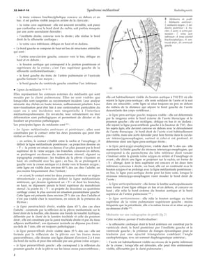 32-360-P-10 Syndrome médiastinal Radiodiagnostic 
– le tronc veineux brachiocéphalique concave en dehors et en 
bas ; il est parfois visible jusqu’en arrière de la clavicule ; 
– la veine cave supérieure : elle est souvent invisible, soit parce 
que confondue avec le bord droit du rachis, soit parfois masquée 
par une aorte ascendante déroulée ; 
– l’oreillette droite, convexe vers la droite ; elle réalise le bord 
droit de la silhouette cardiaque ; 
– la veine cave inférieure, oblique en haut et en dedans. 
– Le bord gauche se compose de haut en bas de structures artérielles 
qui sont : 
– l’artère sous-clavière gauche, concave vers le bas, oblique en 
haut et en dehors ; 
– le bouton aortique qui correspond à la portion postérieure et 
supérieure de la crosse ; c’est l’arc supérieur gauche de la 
silhouette cardiomédiastinale ; 
– le bord gauche du tronc de l’artère pulmonaire et l’auricule 
gauche forment l’arc moyen ; 
– le bord gauche du ventricule gauche constitue l’arc inférieur. 
· Lignes du médiastin [10, 50, 51] 
Elles représentent les contours externes du médiastin qui sont 
moulés par la clarté pulmonaire. Elles ne sont visibles que 
lorsqu’elles sont tangentes au rayonnement incident. Leur analyse 
nécessite des clichés en haute tension, suffisamment pénétrés. Leur 
non-visualisation peut être liée à une conformation particulière du 
sujet ou à une incidence non tangentielle à l’interface 
médiastinopulmonaire. En revanche, leur refoulement ou leur 
déformation sont pathologiques et permettent de déceler et de 
localiser un processus pathologique. 
Les principales lignes du médiastin sont [51] : 
– les lignes médiastinales antérieure et postérieure : elles sont 
constituées par le contact entre les deux poumons qui peut être 
réalisé en deux endroits : 
– en arrière, le contact s’établit entre le rachis et l’oesophage ; il 
définit la ligne médiastinale postérieure ; sa projection dessine un 
« V » : la pointe est située au-dessus d’un plan passant par le bord 
supérieur de la veine azygos ; les branches, concaves en dehors, 
se prolongent au-dessus du manubrium sternal, signant sa 
topographie postérieure ; les feuillets de la plèvre s’écartent en 
haut, en continuité avec les apex ; en bas, ils se prolongent à 
gauche vers la crosse aortique et à droite vers le bouton azygos ; 
cette ligne est visible dans environ 60 % des cas chez l’adulte, un 
peu moins fréquemment chez l’enfant ; 
– en avant, le contact entre les deux poumons s’effectue en région 
rétrosternale ; sa projection définit la ligne médiastinale 
antérieure, qui dessine également un « V » et dont les branches, 
en haut, ne dépassent jamais le bord supérieur du manubrium 
sternal ; la pointe du « V » se projette du deuxième au quatrième 
cartilage costal, le plus souvent en situation paramédiane gauche. 
Cette ligne est présente dans environ 25 % des cas chez l’adulte et 
n’est pas visible chez le nourrisson, en raison de la présence du 
thymus ; 
– la ligne paratrachéale droite, visible dans 65 % des cas chez 
l’adulte : construite par la réflexion de la plèvre médiastinale sur le 
bord droit de la trachée, elle dessine une bande de tonalité hydrique, 
délimitée par la clarté de la lumière trachéale et celle du poumon 
droit ; elle est constituée par la paroi trachéale droite et par du tissu 
adipeux médiastinal ; son épaisseur normale ne dépasse pas 4 mm ; 
au-delà de 5 mm, elle est toujours pathologique ; 
– la ligne paravertébrale droite visible dans 35 % des cas : elle est 
formée par la réflexion de la plèvre sur les tissus mous 
paravertébraux ; elle dessine une ligne distante d’environ 2 à 4mm 
du bord du rachis et peut être refoulée par une grosse veine azygos ; 
– la ligne paravertébrale gauche : elle correspond à la réflexion du 
poumon gauche et de la plèvre sur les tissus mous paravertébraux ; 
2 Médiastin de profil. 
1. Médiastin antérieur ; 
2. médiastin moyen ; 3. mé-diastin 
postérieur ; 4. tra-chée 
; 5. aorte ; 6. artère pul-monaire 
; 7. veine cave 
inférieure ; 8. tronc artériel 
brachiocéphalique ; 9. ven-tricule 
droit ; 10. ventricule 
gauche. 
elle est habituellement visible du bouton aortique à T10-T11 où elle 
rejoint la ligne para-aortique ; elle reste solidaire de l’aorte et la suit 
dans ses sinuosités ; cette ligne se situe toujours un peu en dehors 
du milieu de la distance qui sépare le bord gauche de l’aorte 
descendante des corps vertébraux ; 
– la ligne para-aortique gauche, toujours visible : elle est déterminée 
par la tangence entre le bord externe de l’aorte thoracique et le 
poumon gauche ; elle est rectiligne, oblique en bas et en dedans ; 
elle rejoint la ligne paravertébrale gauche à la hauteur de T10 ; chez 
les sujets âgés, elle devient convexe en dehors avec le déroulement 
de l’aorte thoracique ; le bord droit de l’aorte n’est habituellement 
pas visible, mais une aorte déroulée peut faire hernie dans le cul-de-sac 
interazygooesophagien, surtout si celui-ci est profond, et 
détermine ainsi une ligne para-aortique droite ; 
– la ligne para-azygo-oesophagienne, visible dans 88 % des cas : elle 
représente la limite gauche du récessus interazygo-oesophagien, qui 
correspond à du parenchyme du lobe inférieur droit venant 
s’insinuer entre la grande veine azygos en arrière et l’oesophage en 
avant ; elle décrit une ligne se projetant sur le rachis, en forme de 
« S » allongé, dont le tiers supérieur est concave et les deux tiers 
inférieurs convexes à droite ; en haut, elle est en continuité avec le 
bouton azygos et se prolonge avec la ligne médiastinale postérieure ; 
en bas, la ligne para-aortique droite peut lui faire suite, lorsque le 
récessus interazygo-oesophagien vient mouler le bord droit de 
l’aorte ; 
– la ligne aorticopulmonaire : elle ferme la fenêtre aorticopulmonaire 
sous forme d’une ligne oblique en bas et en dehors, et concave en 
haut ; elle relie le bord externe du bouton aortique et le bord 
supérieur de l’artère pulmonaire [35] ; 
– la ligne aorticoveineuse : elle relie le bouton aortique au bord 
supérieur de la veine pulmonaire supérieure gauche ; moins 
fréquente que la précédente, elle a la même forme et se situe un peu 
au-dessous d’elle [35]. 
Médiastin sur une radiographie de profil (fig 2) 
Cette incidence permet d’individualiser : 
– la silhouette cardiaque dont le bord antérieur est constitué par le 
ventricule droit, le bord postérieur par l’oreillette gauche et le 
ventricule gauche ; la présence de franges épicardiques peut se 
traduire par une opacité triangulaire comblant l’angle 
cardiophrénique, avec un sommet diaphragmatique antérieur ; 
– l’aorte est habituellement visible au niveau de la partie inférieure 
de la crosse ; lorsqu’elle est déroulée, elle peut être entièrement 
visible, silhouettée par la clarté pulmonaire ; 
2 
 