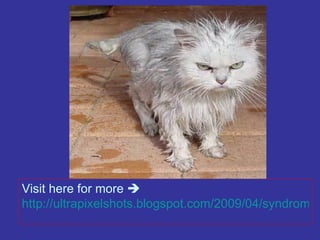 Visit here for more  ?   http://ultrapixelshots.blogspot.com/2009/04/syndrome-of-stress.html 