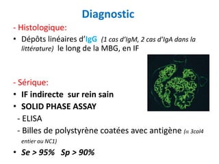 Diagnostic
- Histologique:
• Dépôts linéaires d’IgG (1 cas d’IgM, 2 cas d’IgA dans la
littérature) le long de la MBG, en IF
- Sérique:
• IF indirecte sur rein sain
• SOLID PHASE ASSAY
- ELISA
- Billes de polystyrène coatées avec antigène (α 3col4
entier ou NC1)
• Se > 95% Sp > 90%
 