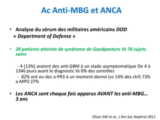 Ac Anti-MBG et ANCA
• Analyse du sérum des militaires américains DOD
« Department of Defense »
• 30 patients atteints de syndrome de Goodpasture Vs 70 sujets
sains
- 4 (13%) avaient des anti-GBM à un stade asymptomatique De 4 à
1346 jours avant le diagnostic Vs 0% des contrôles
- 82% ont eu des a-PR3 à un moment donné (vs 14% des ctrl) 73%
a-MPO 27%
• Les ANCA sont chaque fois apparus AVANT les anti-MBG…
3 ans
Olson SW et al., J Am Soc Nephrol 2011
 