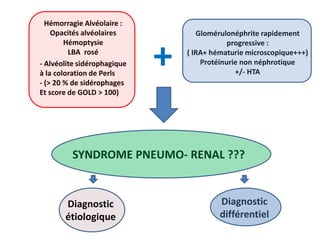 Hémorragie Alvéolaire :
Opacités alvéolaires
Hémoptysie
LBA rosé
- Alvéolite sidérophagique
à la coloration de Perls
- (> 20 % de sidérophages
Et score de GOLD > 100)
Glomérulonéphrite rapidement
progressive :
( IRA+ hématurie microscopique+++)
Protéinurie non néphrotique
+/- HTA
SYNDROME PNEUMO- RENAL ???
Diagnostic
étiologique
Diagnostic
différentiel
+
 
