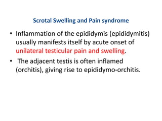 Scrotal Swelling and Pain syndrome
• Inflammation of the epididymis (epididymitis)
usually manifests itself by acute onset of
unilateral testicular pain and swelling.
• The adjacent testis is often inflamed
(orchitis), giving rise to epididymo-orchitis.
 