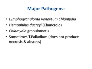 Major Pathogens:
• Lymphogranuloma venereum Chlamydia
• Hemophilus ducreyi (Chancroid)
• Chlamydia granulomatis
• Sometimes T.Palladium (does not produce
necrosis & abscess)
 
