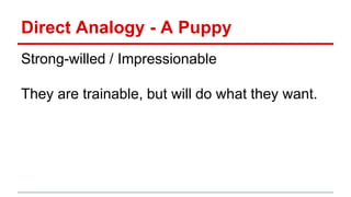 Direct Analogy - A Puppy
Strong-willed / Impressionable
They are trainable, but will do what they want.
 