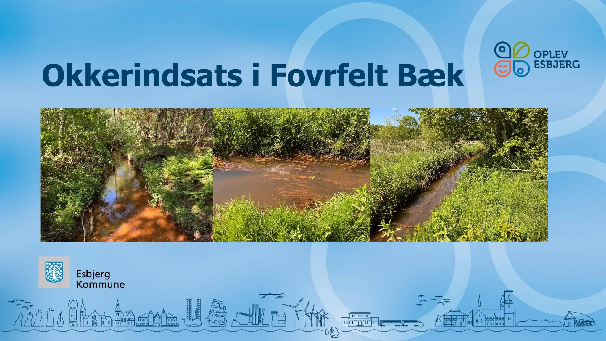 Okkerindsats i Fovrfelt Bæk
 