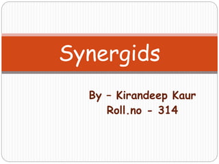 By – Kirandeep Kaur
Roll.no - 314
Synergids
 