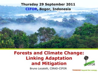 Forests and Climate Change: Linking Adaptation and Mitigation ,[object Object],Thursday 29 September 2011 CIFOR , Bogor, Indonesia 