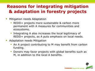 Forests and Climate Change: Linking Adaptation and Mitigation | PPT