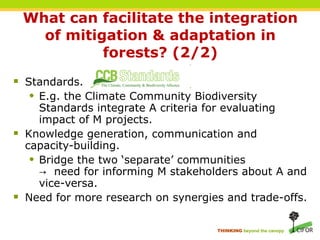 Forests and Climate Change: Linking Adaptation and Mitigation | PPT