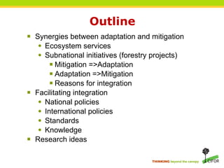 Forests and Climate Change: Linking Adaptation and Mitigation | PPT