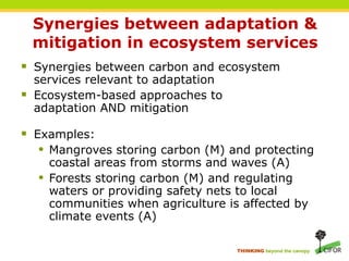 Forests and Climate Change: Linking Adaptation and Mitigation | PPT