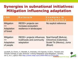 Forests and Climate Change: Linking Adaptation and Mitigation | PPT