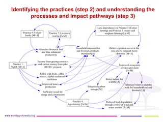 Synergies between mitigation and adaptation..ppt glf nov 16