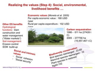 Synergies between mitigation and adaptation..ppt glf nov 16