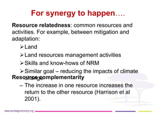 Synergies between mitigation and adaptation..ppt glf nov 16