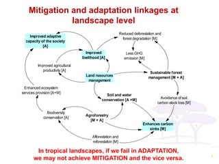 Synergies between mitigation and adaptation..ppt glf nov 16