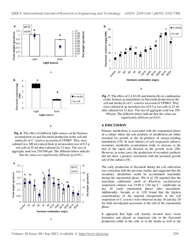 Synergism effect between inoculum size and aggregate size on flavonoi…