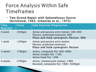 Two Strand Repair with Epitendinous Suture  (Strickland, 1993; Urbaniak et al., 1975) Time Maximal Force Safe Exercise Progression 0 week 2500gm  Active and passive wrist motion: 300-400 Passive, protected extension: 600  Place and hold synergistic flexion: 900 1 week 1200gm Active and passive wrist motion Passive, protected extension Place and hold synergistic flexion 3 weeks 1700gm Active, composite fist :400-4000 Active straight fist: 1100 Active hook fist: 1300 6 weeks 2700gm Active, isolated joint motion: 1900 Resisted, composite fist: 1900- 6500gm 